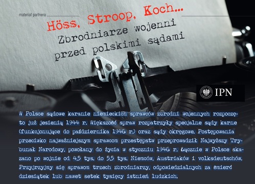 Hoss, Stroop, Koch... Zbrodniarze wojenni przed polskimi sądami [PDF]